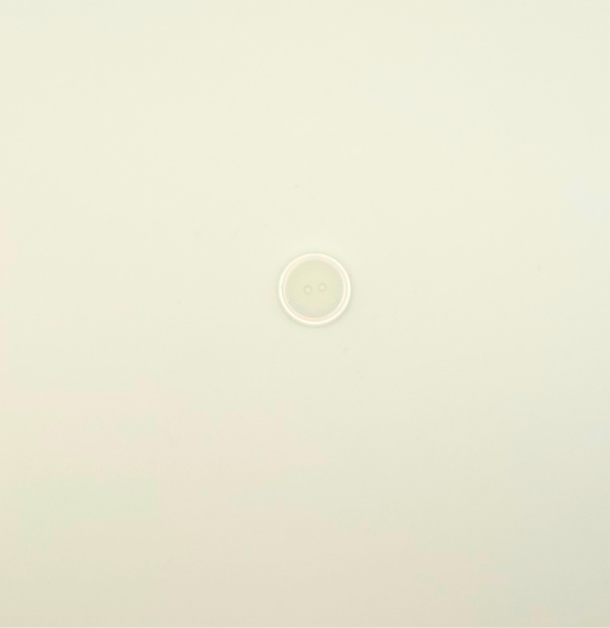 Knoop Plastic - Off White M - 1,5cm